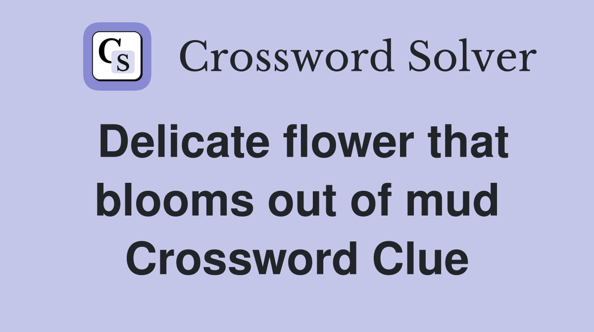 Delicate flower that blooms out of mud Crossword Clue Answers